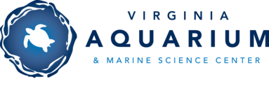 Virginia Aquarium & Marine Science Center logo