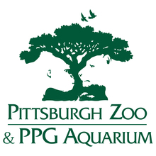 Pittsburgh Zoo & PPG Aquarium Save the Sea Turtles team's avatar