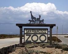 San Francisco Zoo & Gardens's avatar