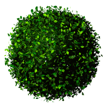 Team Deloitte Green Dot's avatar