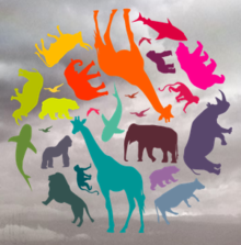 All Creatures Pod's avatar