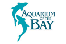 Aquarium of the Bay's avatar