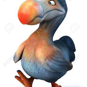 Dodo Bird's avatar