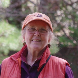 Susan J Murphy's avatar