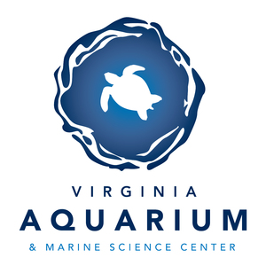 Virginia Aquarium's avatar